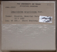 Image Associated With the Occurence